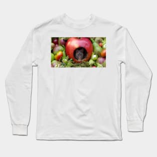 George the mouse in a log pile house - Mouse inside a apple with summer fruits Long Sleeve T-Shirt